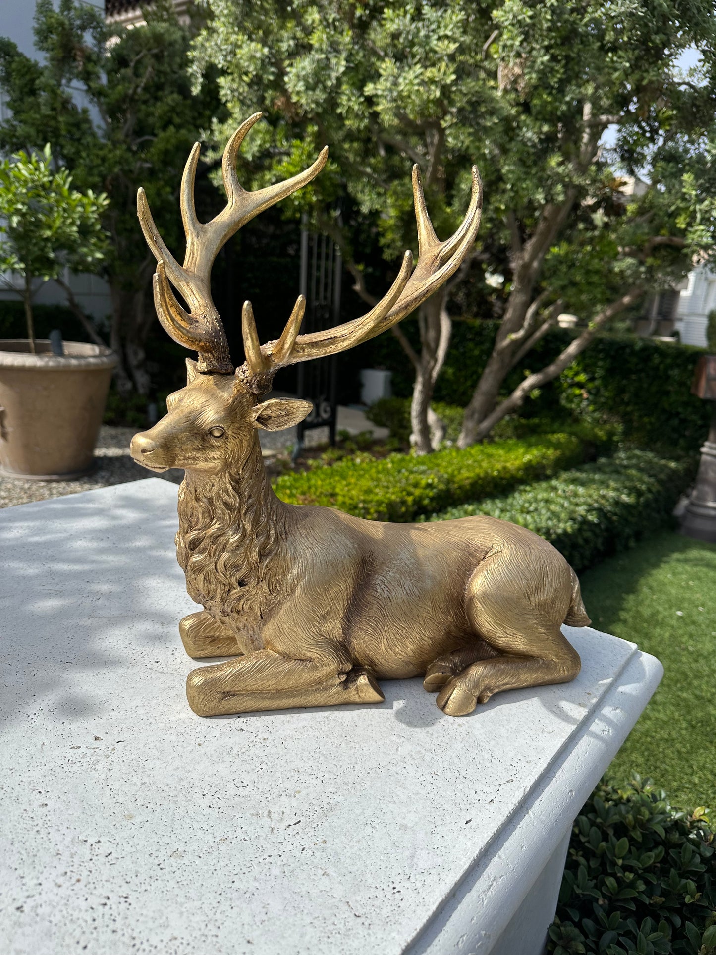 16" LYING DEER